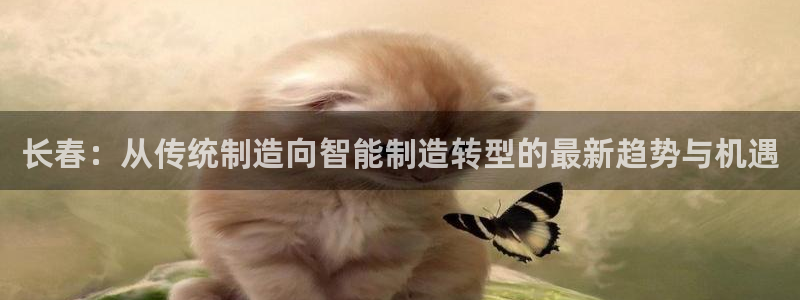 万事娱乐首页入口