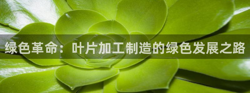 万事达娱乐登陆