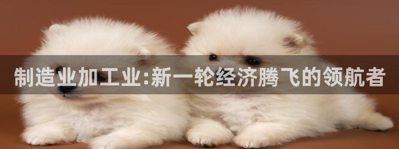 万事2娱乐总代