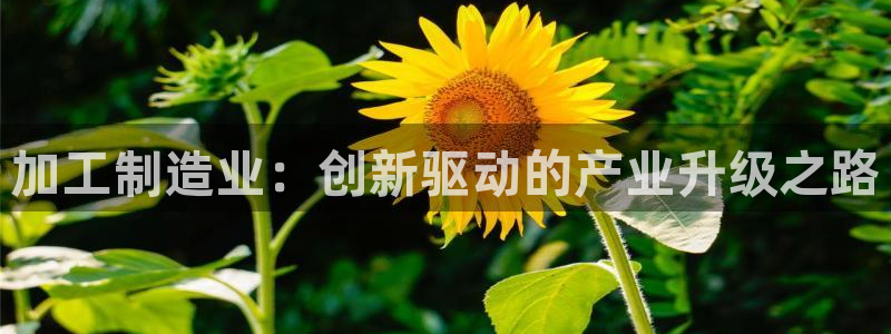 万事娱乐测速