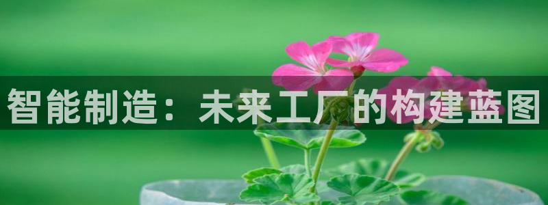 万事娱乐平台代理