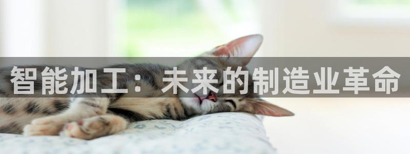 万事娱乐官网网址