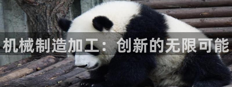 万事达娱乐交锋