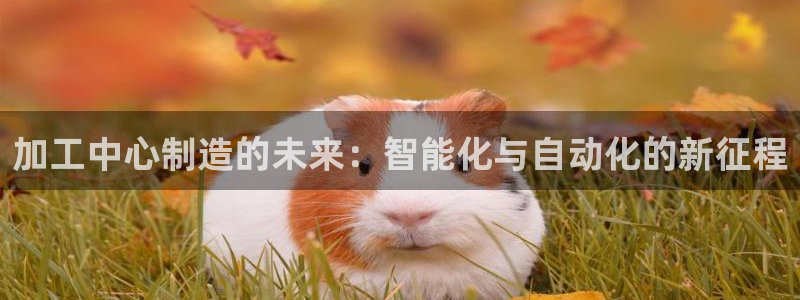 万事娱乐平台注册流程