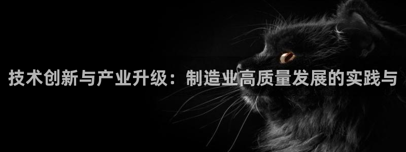 万事娱乐招商主管薪资