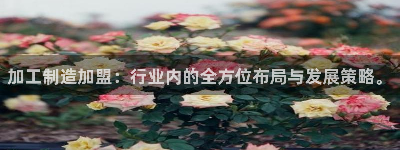 万事达娱乐下载
