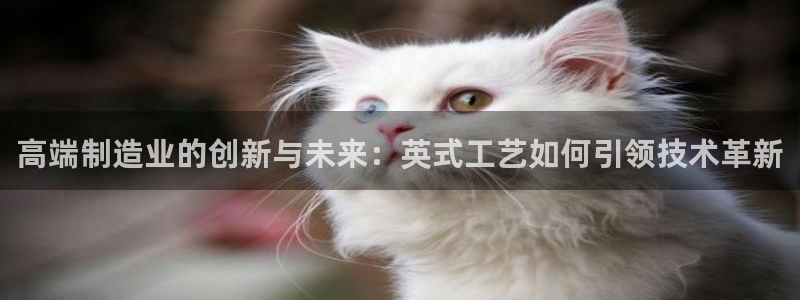 万事娱乐测速软件下载