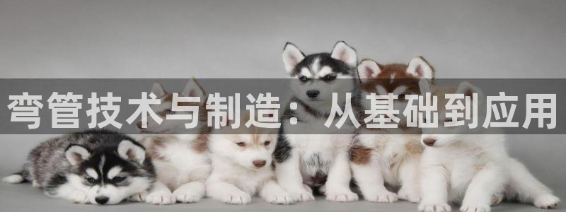 万事娱乐登录地址在哪