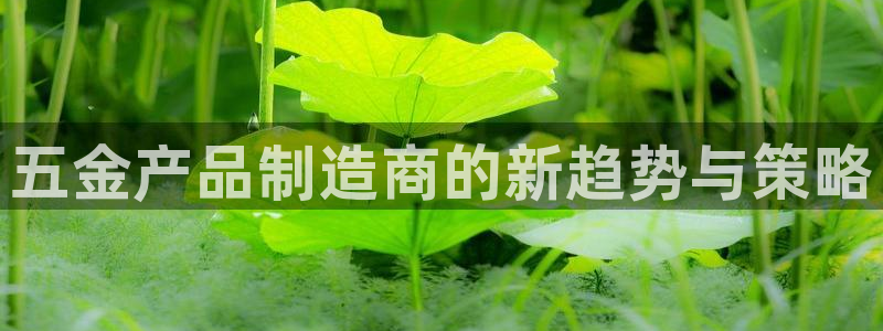 万事娱乐网址是什么