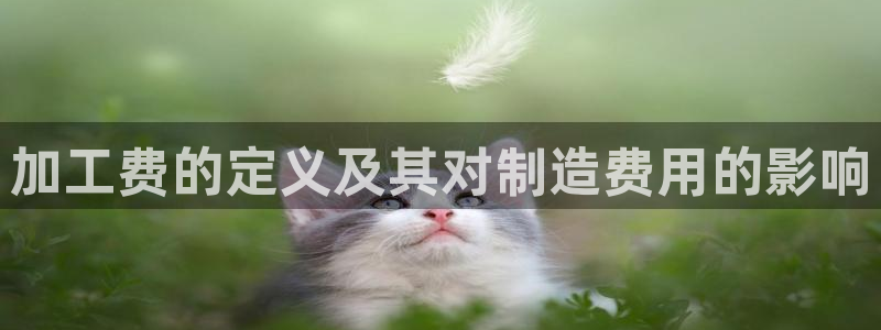 万事娱乐有漏洞么