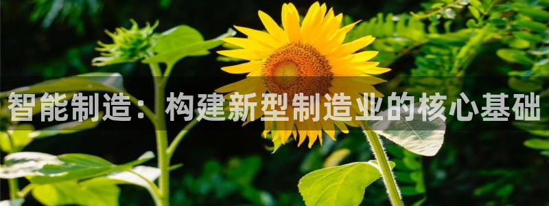 万事娱乐平台崩盘