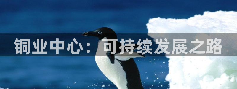 万事娱乐公司简介